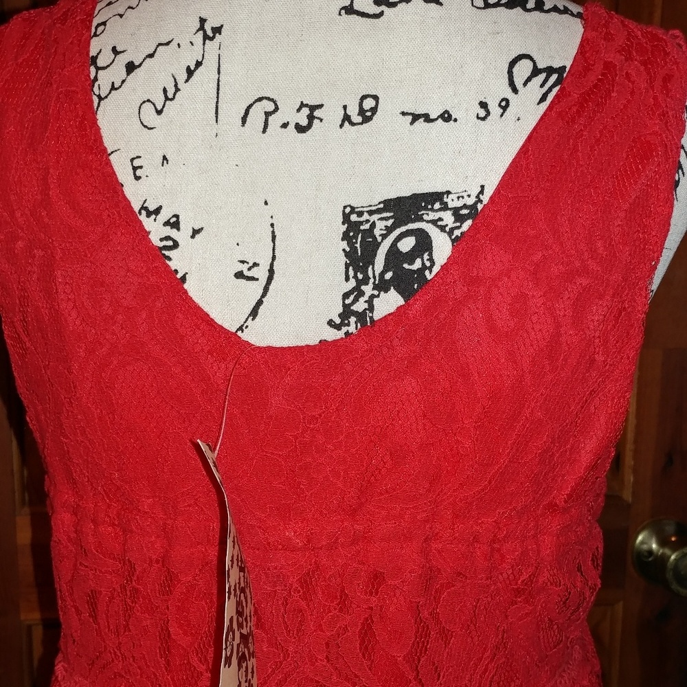 💘5/$25 💋bright lace/ lined short dress - Picture 3 of 6